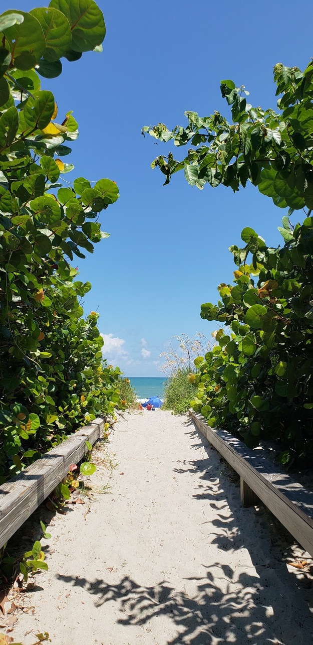 Path leading to Tables Beach, FL