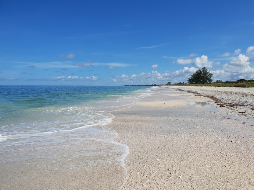 Sunny beach