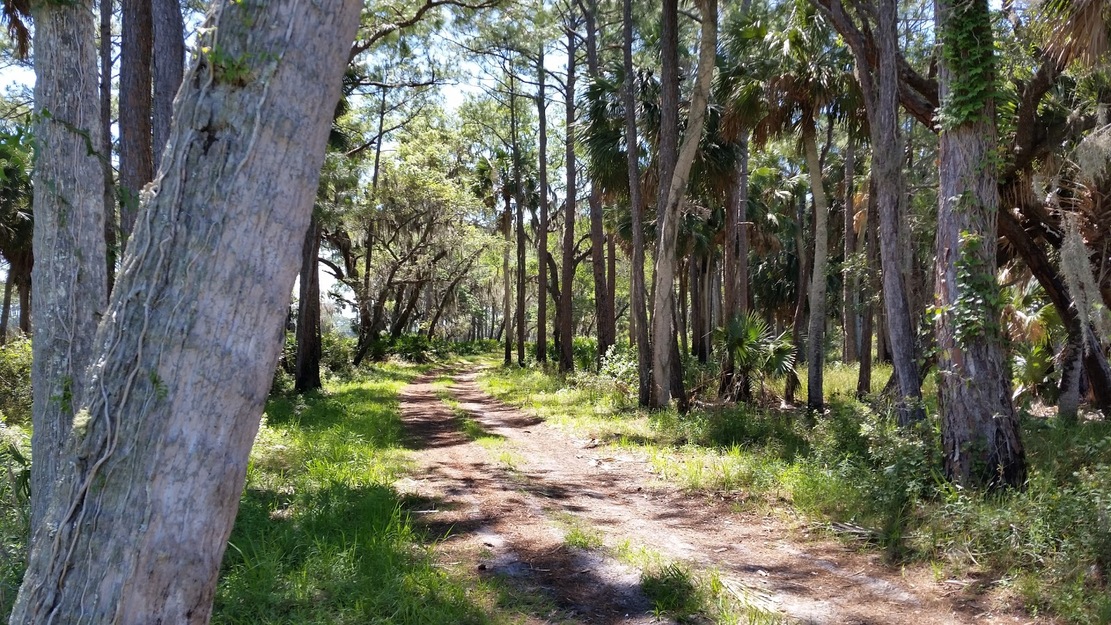 St. Vincent National Wildlife Refuge, Florida