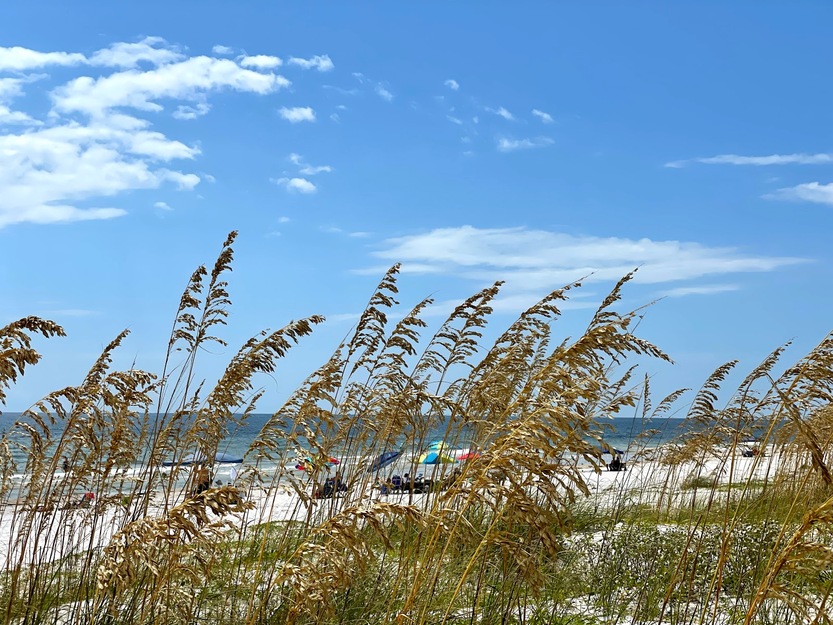 Dr. Julian G. Bruce St. George Island State Park Beach, Florida