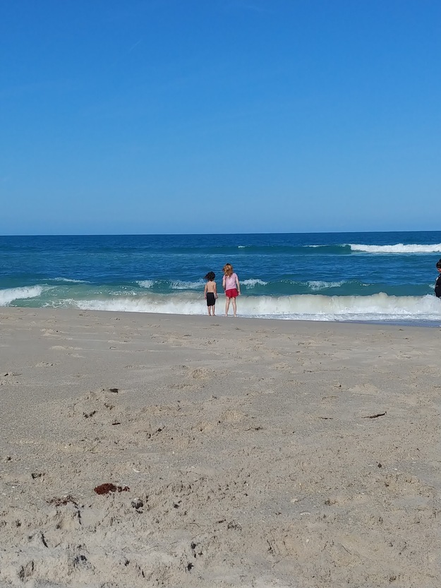Maritime Hammock Sanctuary Beach FL