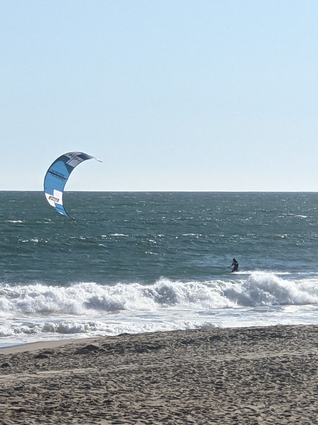 Surfer on Will Rogers State Beach CA