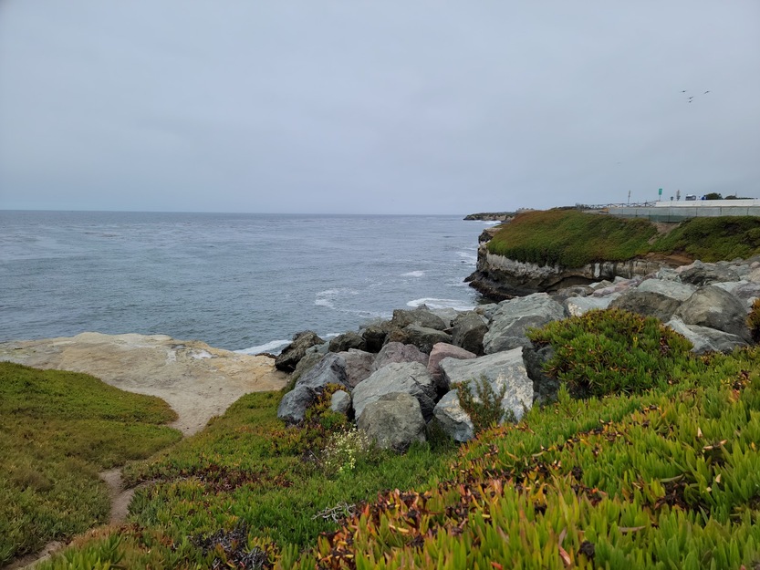 Natural Bridges State Beach California