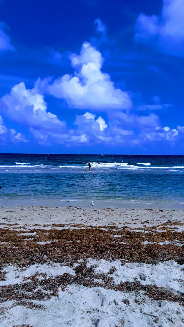 Seashore