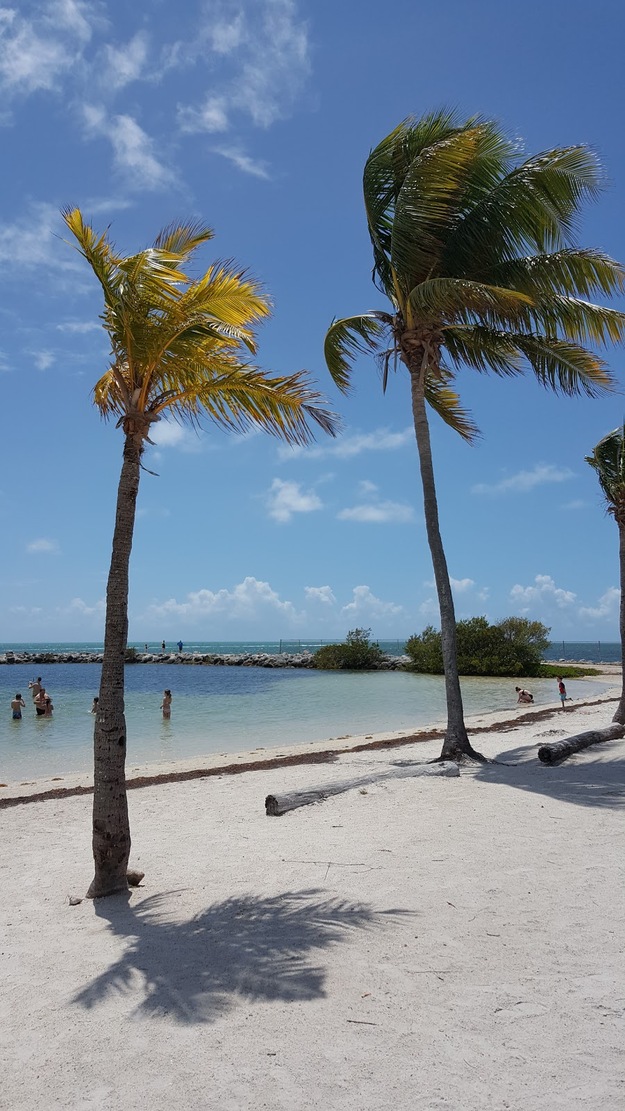 Harry Harris Park Beach