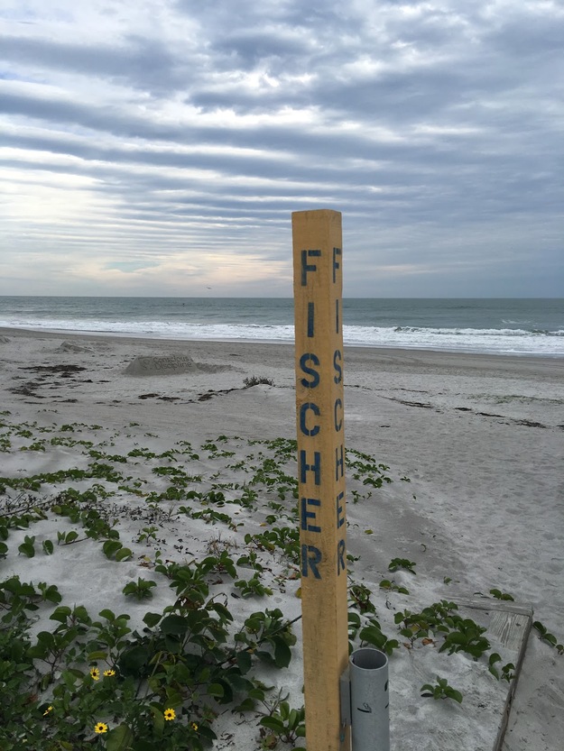 Sidney Fischer Park Beach
