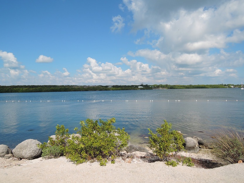 Far Beach