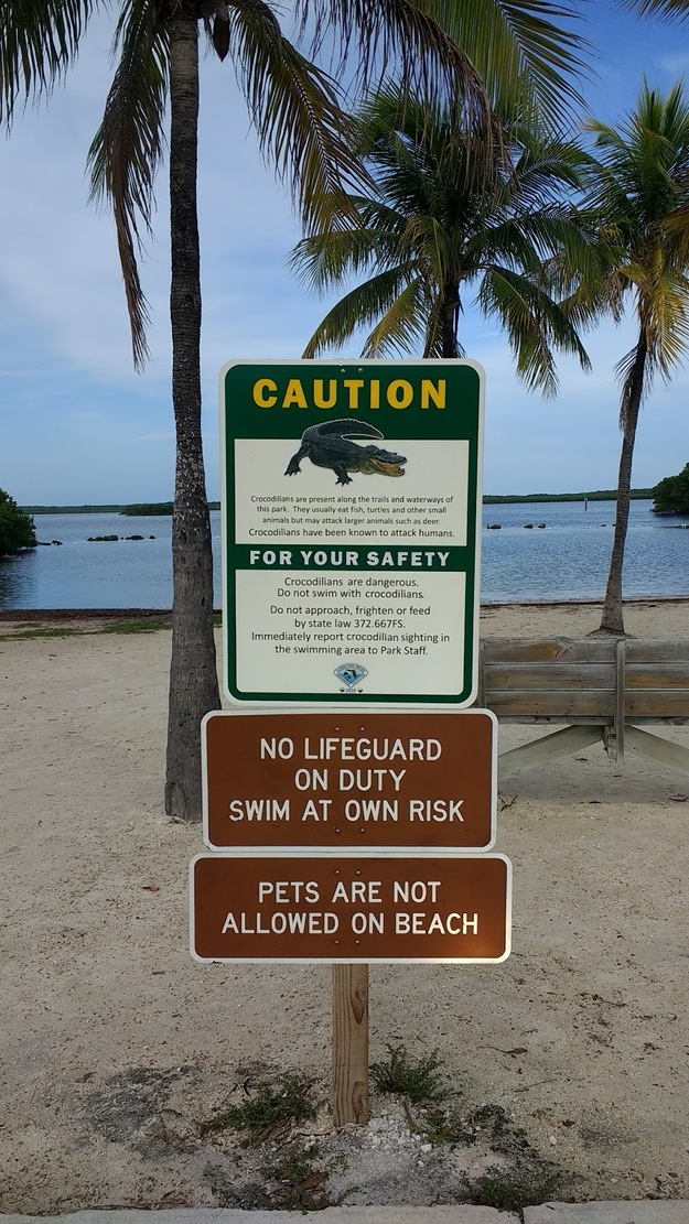 Beach shield