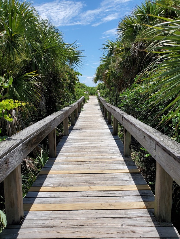 Boardwalk