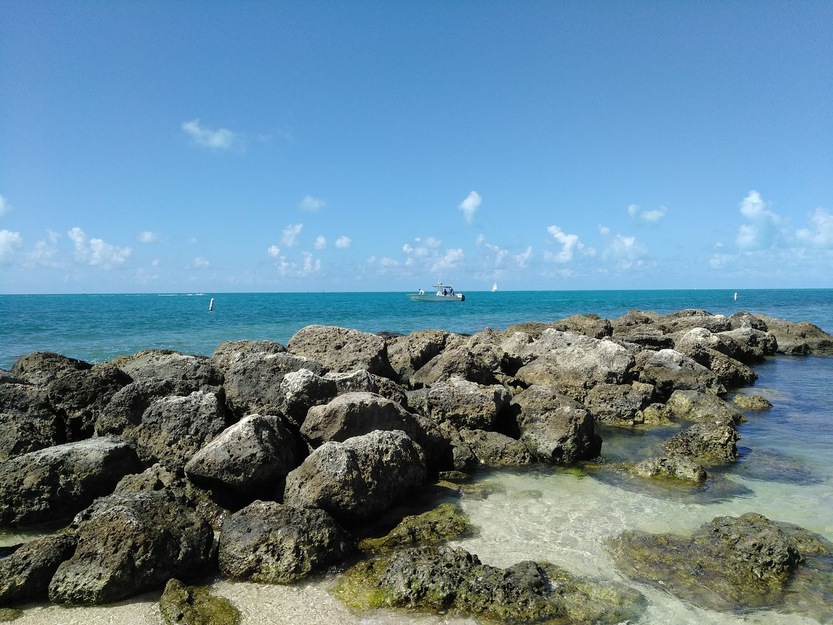 Rocks on the seashore