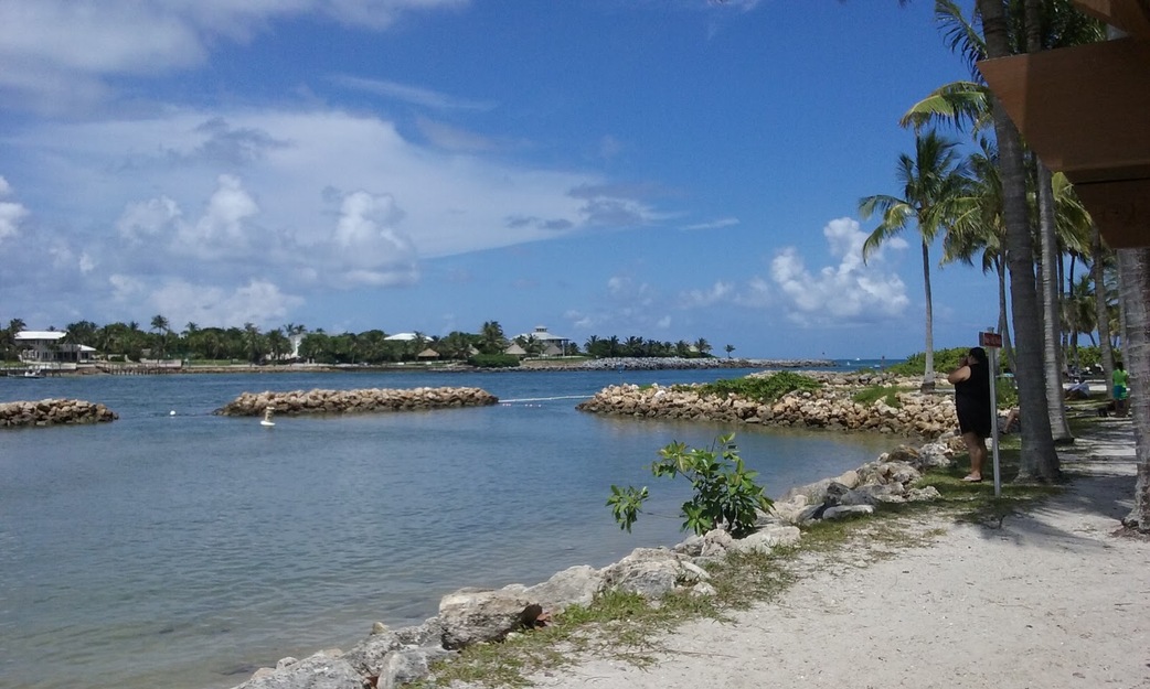 Rocky shore