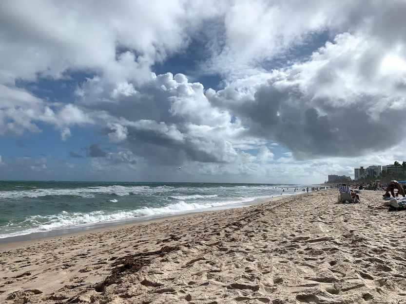 Seashore