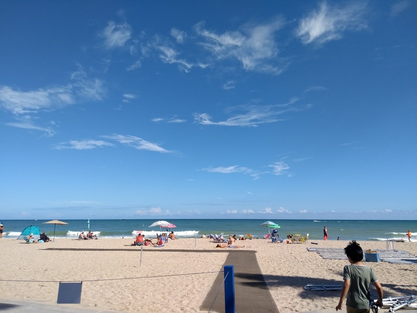 People sunbathing on the beach