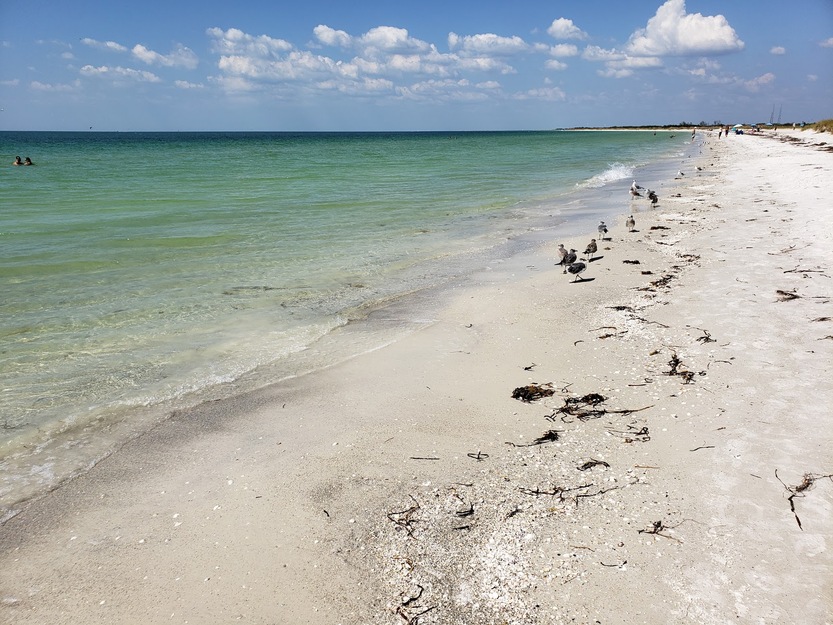 Seashore