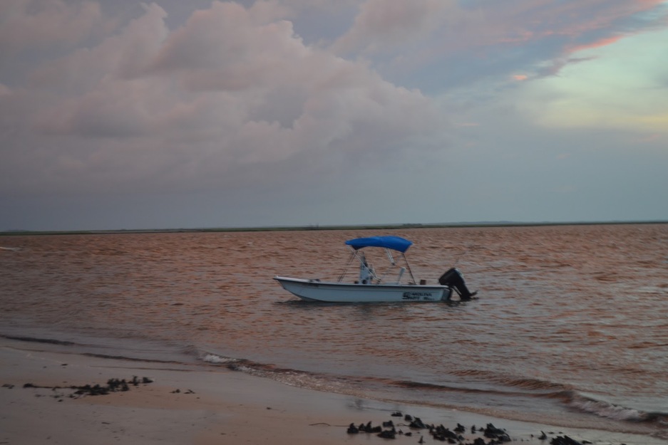 Boat in the sea