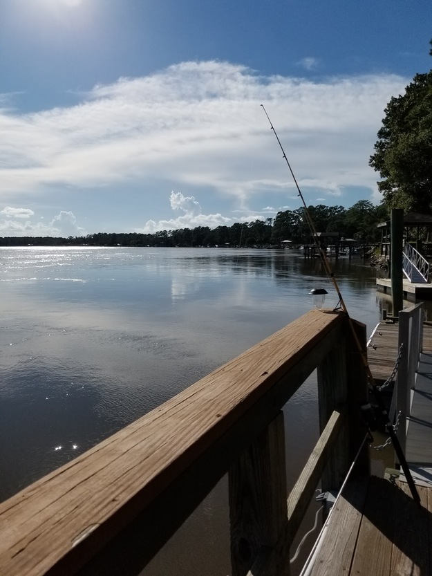 St. Catherines Island Beach