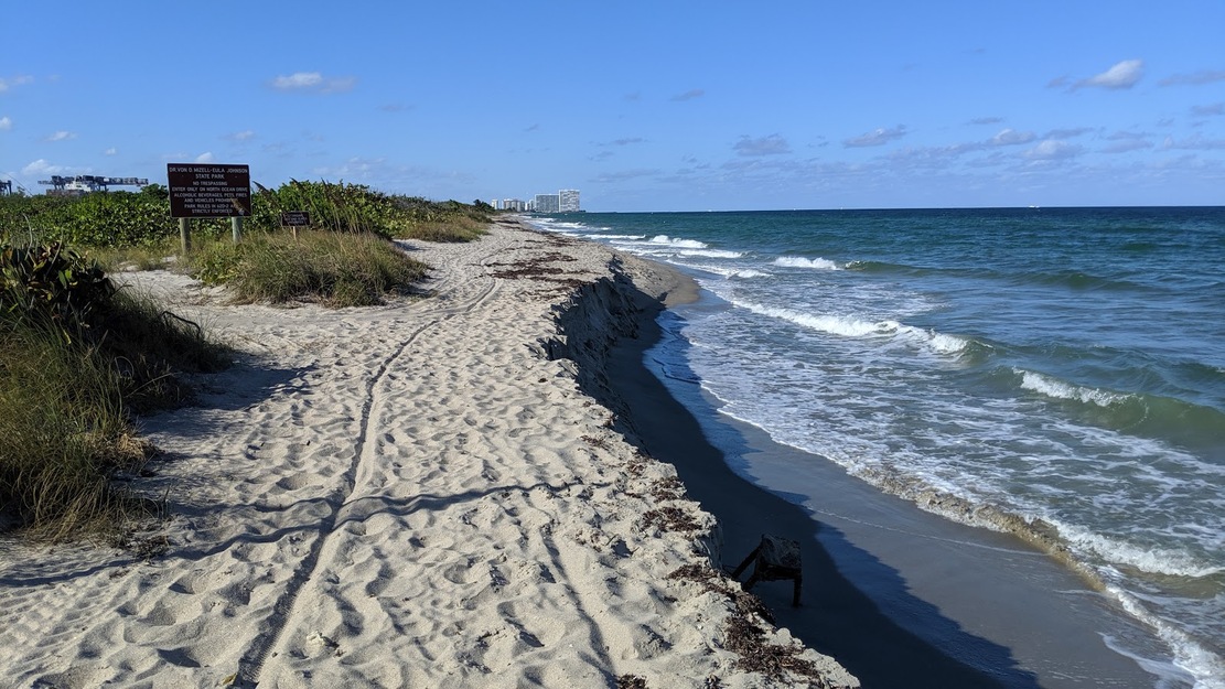 Grassy seashore